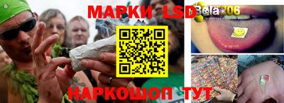 индика Будённовск