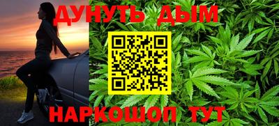 индика Будённовск