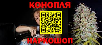 индика Будённовск