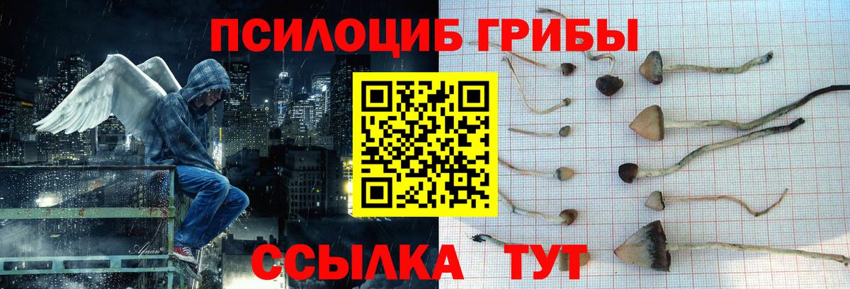 купить  сайты  Вход с VPN  Раменское  Галлюциногенные грибы Magic Shrooms 